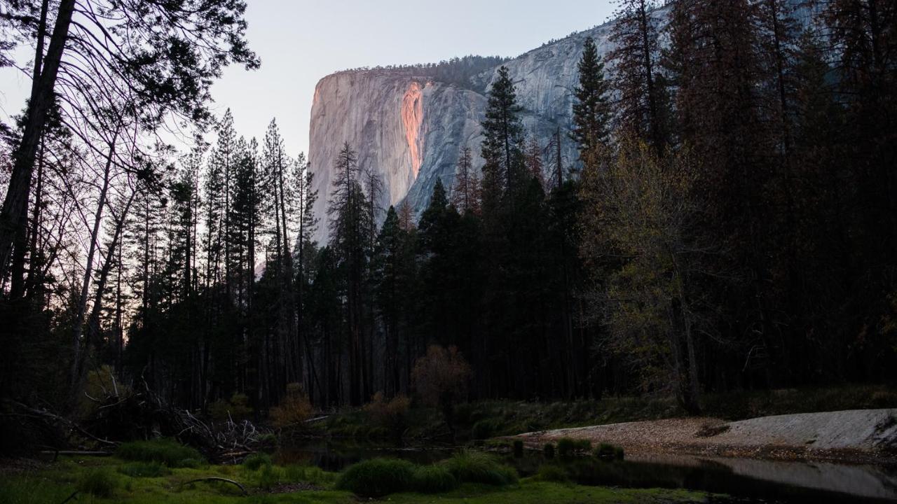 Отель Autocamp Yosemite Мидпайнс Экстерьер фото